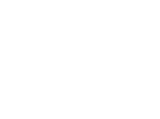 VOX